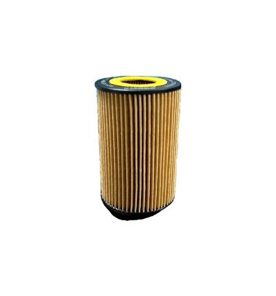 İBA GARAGE WUNDER WY 307 LİNEA EURO 4 UYUMLU Oto Yağ Filtresi