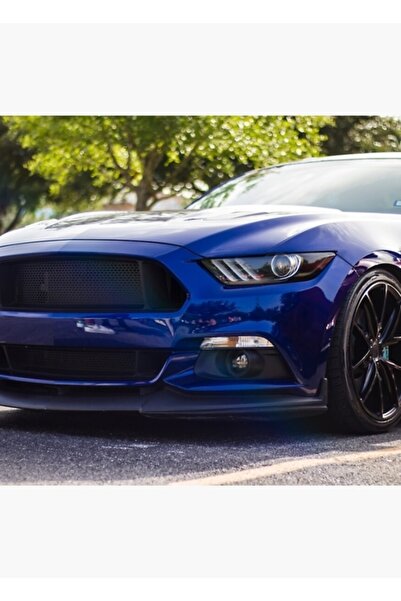 1_org_zoom-8870.jpg Ford Mustang S550 Tablo Ahşap Poster Dekoratif - Görsel 1